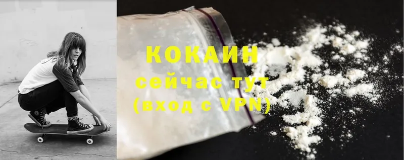 Cocaine FishScale  Тайга 